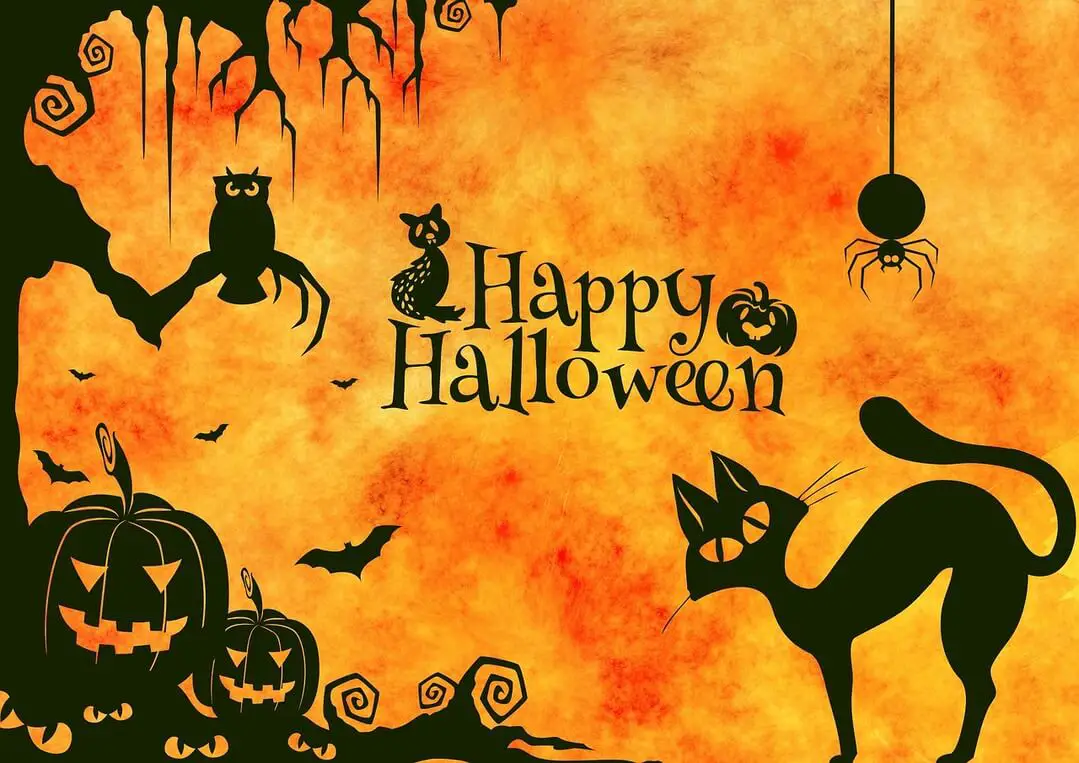 37 Halloween Riddles For Kids Adults Get Riddles